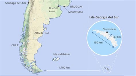 La Isla Georgia Del Sur Primer Territorio Del Mundo Libre De Ratas