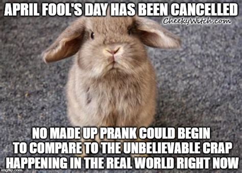 April 1 is undoubtedly one of the best days in the year for pranksters all around the world. Image tagged in rabbit - Imgflip