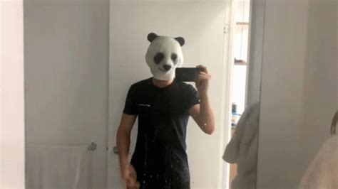 Panda Head Deuces Panda Head Deuces Peace Out Discover Share GIFs