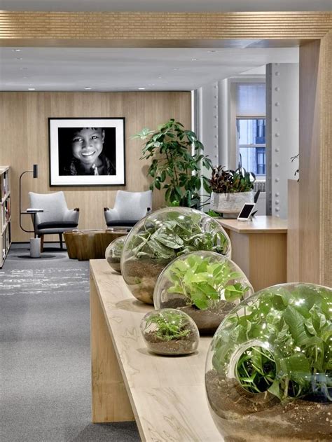 A Biophilic Design Studio Designed For Wellness In A Historic Office