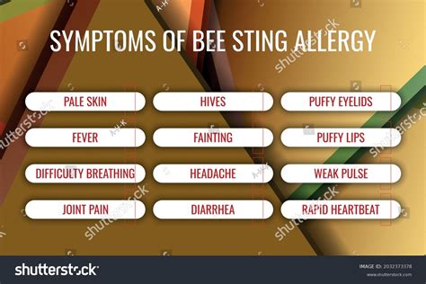 Symptoms Bee Sting Allergy Vector Illustration Stock Vector Royalty