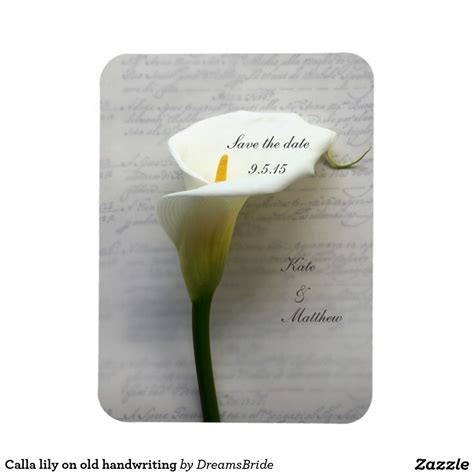 Calla Lily On Old Handwriting Rectangular Photo Magnet Customize It