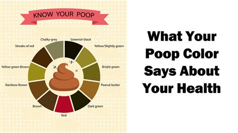 What The Color Of Poop Means The Meaning Of Color