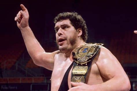 Andre The Giant Documentary 12 Things Learned And Facts Left Out