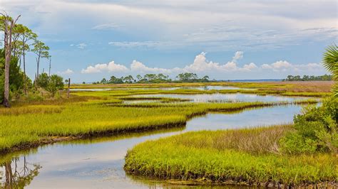 The Restoration Of The Everglades A Big Win For Environmental Rights