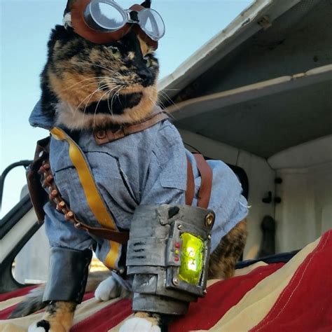 Cat Cosplay Of The Feline Variety Cat Cosplay Fallout Cosplay Cats