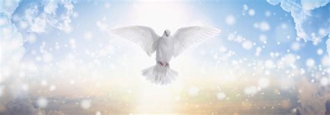 The Holy Spirit Loves To Reside In A Generous And Forgiving Heart