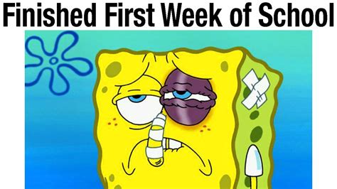 25 Spongebob Memes Clean Pictures Factory Memes