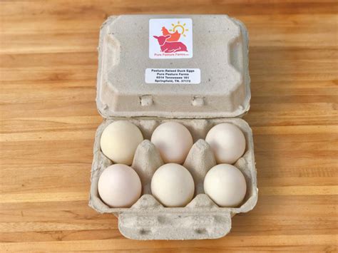 Pasture Raised Duck Eggs Half Dozen Pure Pasture Farms