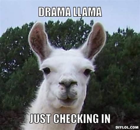 Llama Birthday Meme