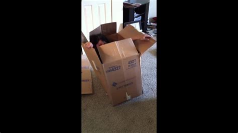 Girl Get Stuck In A Box Funny Youtube