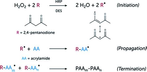 Enzyme Mediated Free Radical Polymerization Of Acrylamide In Deep