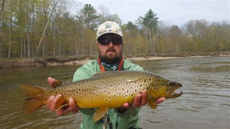Saco River Fly Fishing Guided Fly Fishing Trips New Hampshire