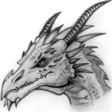 This time we will focus on how to draw a dragon step by step. Pics For > Cool Dragon Head Drawings In Pencil | art ...