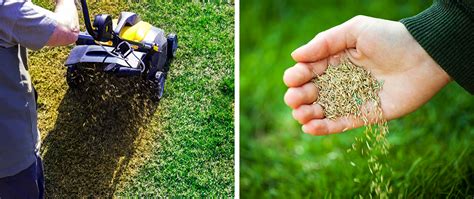 349 фраз в 51 тематике. Fall Aeration, Seeding, and Fertilizing