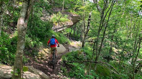 Beech North Carolina Mountain Biking Trails Trailforks