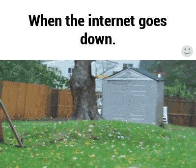 This online resource offers thousands of free gif animations, which can lift your spirits and cause the brightest emotions! When The Internet Goes Down GIFs - Find & Share on GIPHY