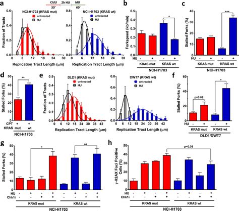 Resistance Of Kras Mutant Mut But Not Wild Type Wt Cancer Cells To