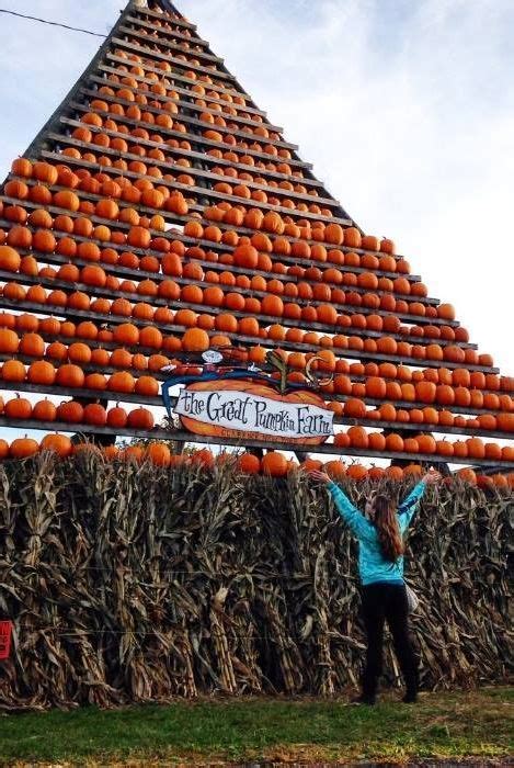 Nyc's fall activities for kids are a treat, just like halloween! 25 Pumpkin Farms Near Me - The Best Pumpkin Patches in America