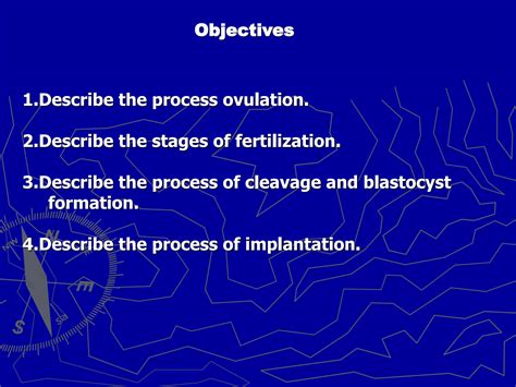 Solution Ovulation Fertilization Implantation Studypool