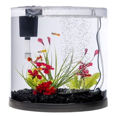 The 6 Best Fish Tanks For Beginners Small Fish Tank Reviews