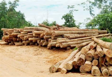 Department of statistics the malaysian economy in figures 2012, economic planning unit annual report 2011, bank negara malaysia notes source : Sarawak Forestry Department sending out strong message to ...