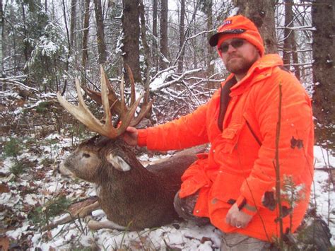 dan ryan s 2016 buck paul pollick s whitetail deer lures