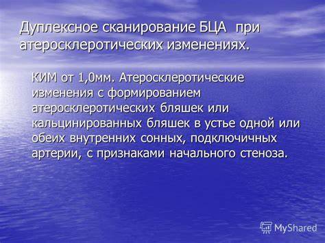 Атеросклеротическая диета при атеросклеротических бляшках