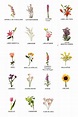 Nombres de flores, Nombres de hierbas, Tipos de flores