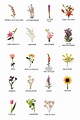 Nombres-de-flores-3.jpg (1410×2101) | Nombres de flores, Tipos de flores