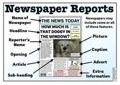 Help you child custodynewspaper article. Animal Non Chronological Report Examples | Text features ...