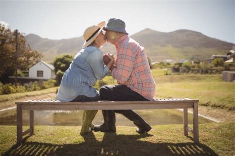 Senior Couple Kissing Each Other While Sitting On A Bench In Lawn Stock