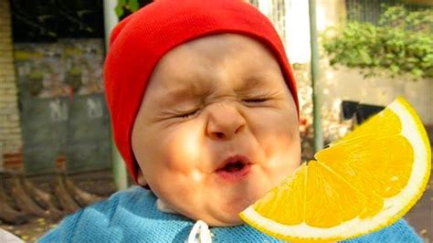 Viral Cute Babies Eating Lemon Youtube