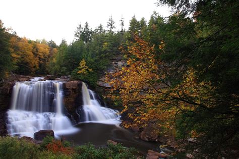 West Virginia Fall Foliage 2020 Peak Dates Train Rides And Cabins