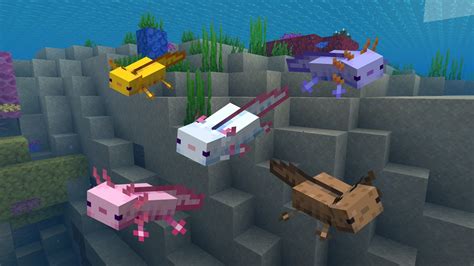 All Axolotl Color Variants In Minecraft Gamepur