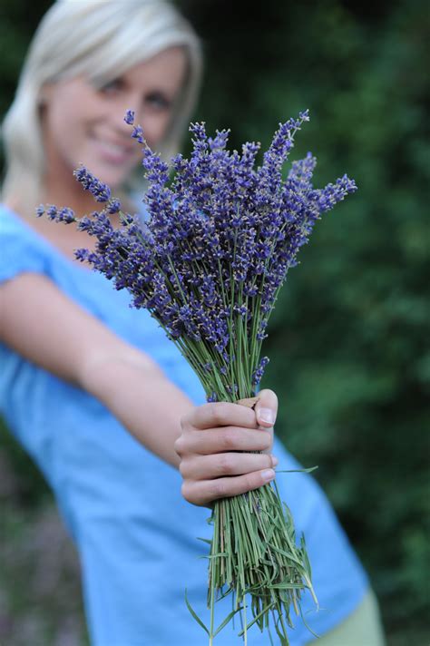 Lovely Lavender Flowers For Spring Exoticflowersdelivery