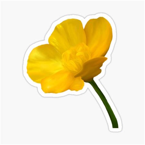 Buttercup Sticker For Sale By Mossymemory Redbubble