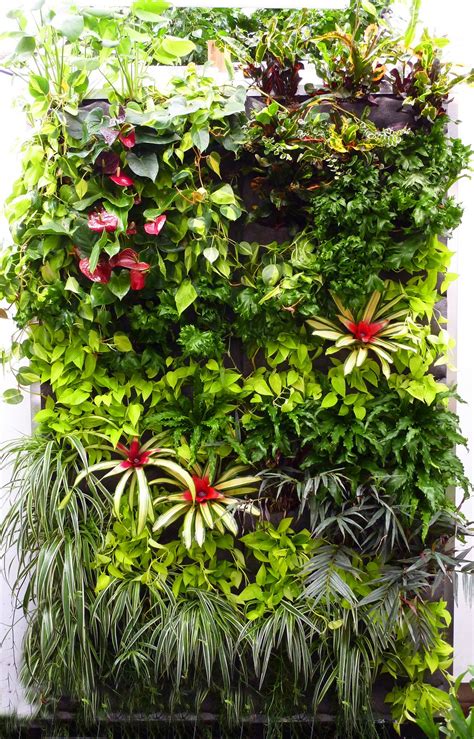 Find images of garden wall. Plants On Walls vertical garden systems: July 2010