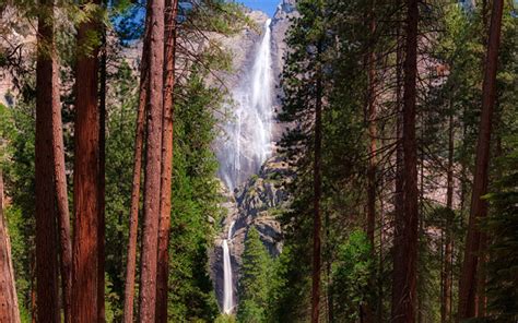Download Wallpapers Yosemite Waterfall Rock Forest Redwood Rocks