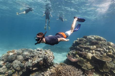 Snorkeling Coral Reef