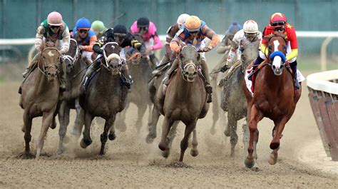 New York Horse Race Tracks Safer After Reforms But Dangers Remain