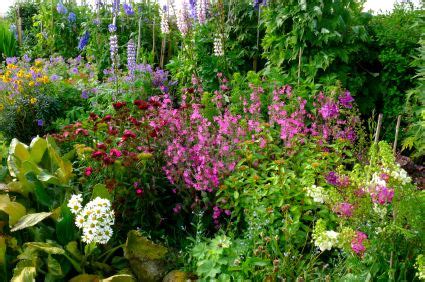 Try and choose a color scheme like pinks and whites, or blues and yellows. English Cottage Garden Design Ideas | Designing A Cottage ...