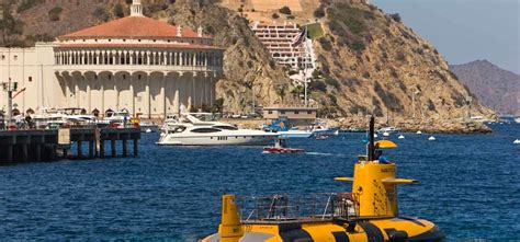 Best Things To Do On Catalina Island Gayot