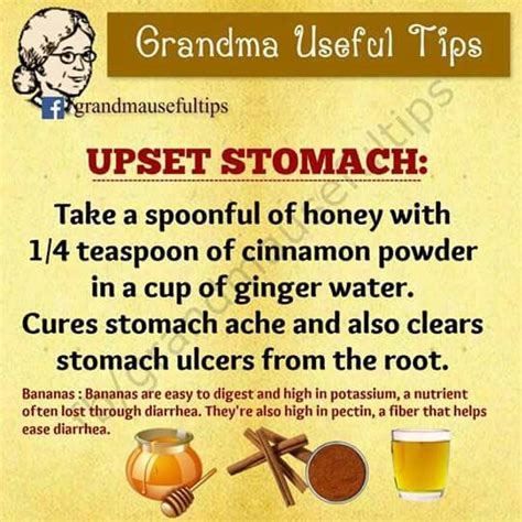 Upset Stomach Upset Stomach Herbalism Health Remedies