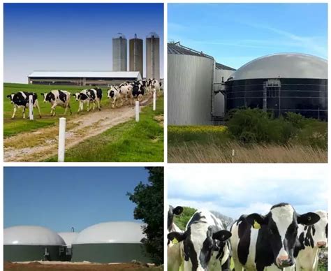Sustainable Dairy Farming Project Report Investment And Estimated