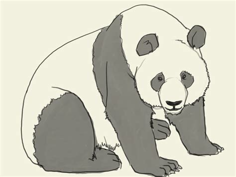 Cool Panda Drawing At Getdrawings Free Download