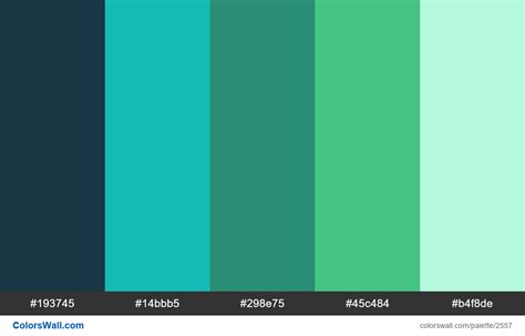 Colorswall Palette 1533 Aqua Colors Colorswall