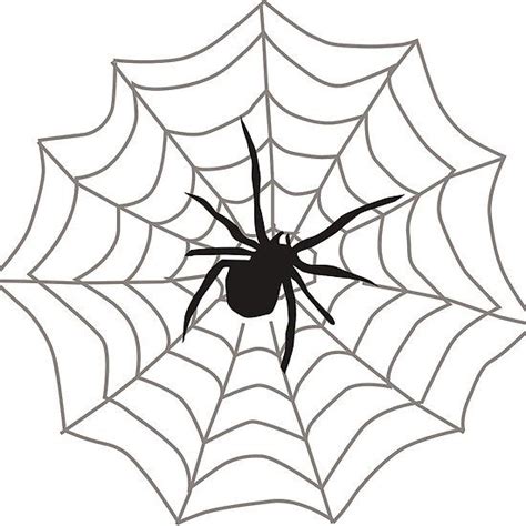 Spider Web by catlady1961 | Spider, Spider clipart, Spider web