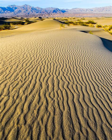 Distant Escape Across The Sand Dunes Smithsonian Photo Contest