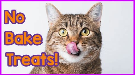 There have been recalls and studies about dangerous ingredients and sometimes we just can't be 100% sure that these simple snacks are something your kitty is sure to love! Delicious Easy No-Bake Cat Treats! How to Make Simple ...